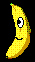 banana bud
